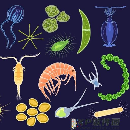 日本微軟開職缺，透露正與知名團隊合作打造日系新作