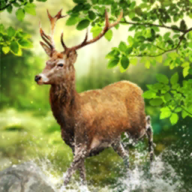 玩家聲聲喚，Steam版《.hack》也會推中文化更新檔