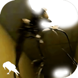 【使命一：收割华尔街韭菜，奖赏身体强化】【使命一：规划